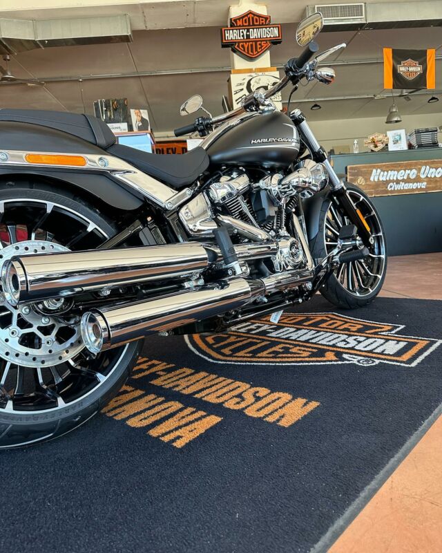 Home Page - Harley Davidson Civitanova